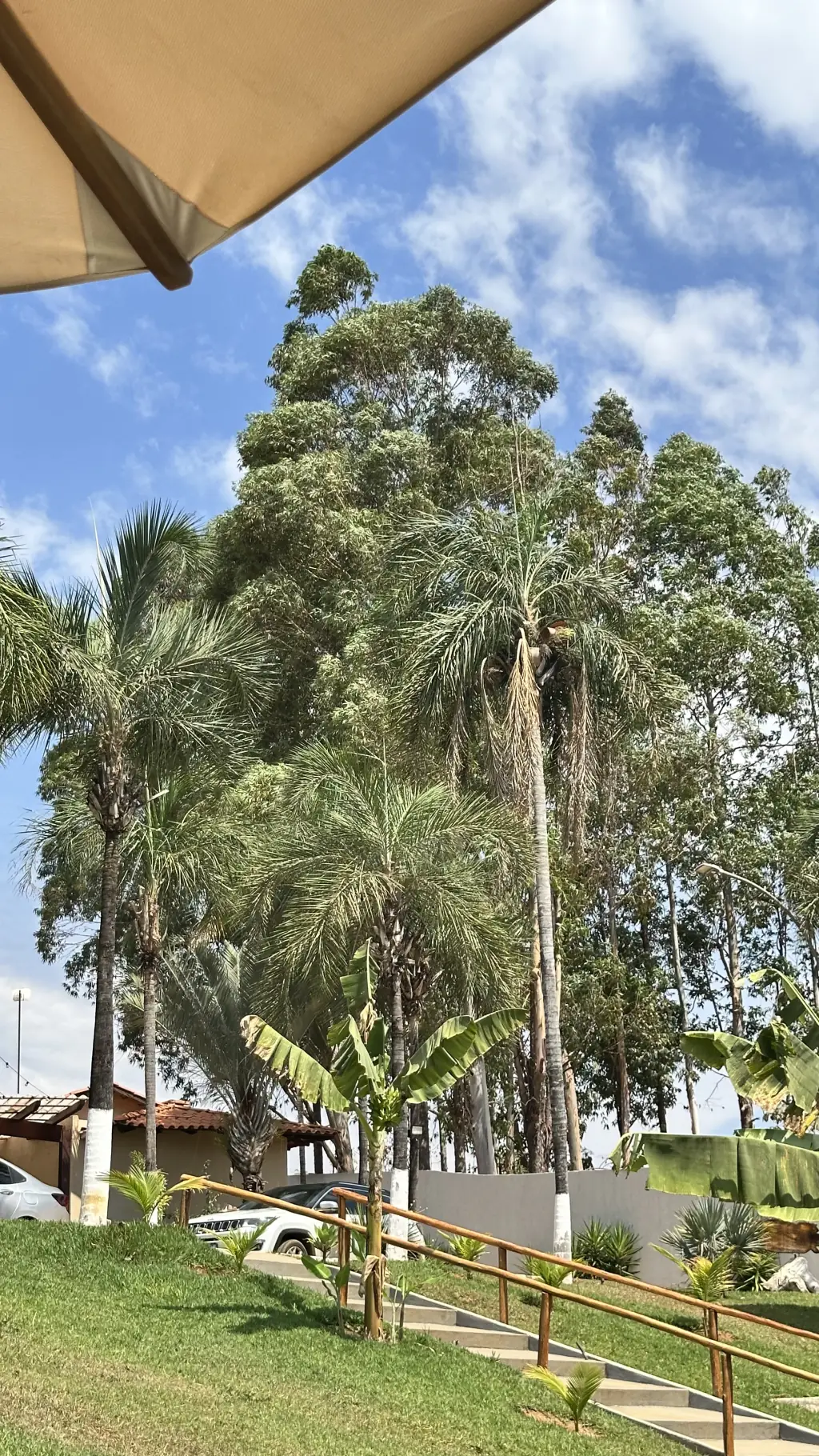 Foto da galeria do Rancho Tucunaré