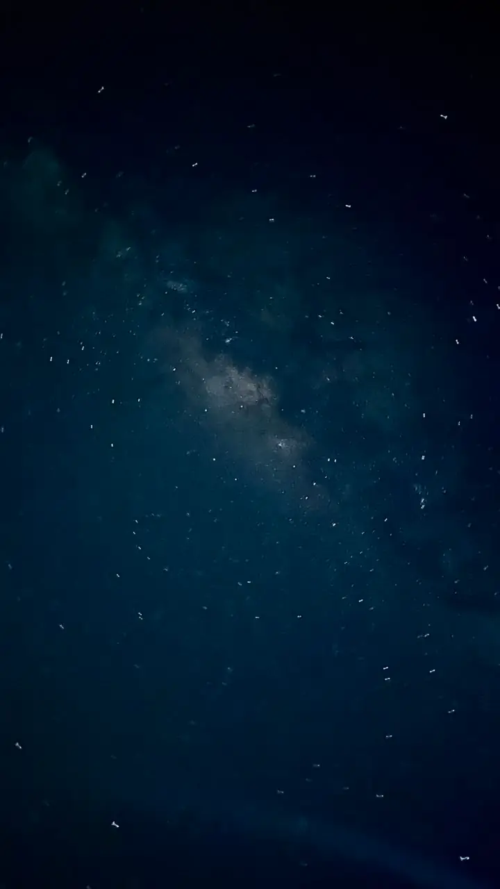 Céu estrelado sobre o Rancho Tucunaré