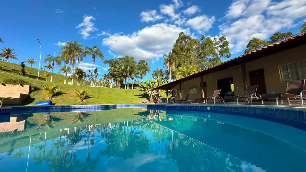 Reflexo das palmeiras na piscina